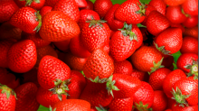 Linus-Cgfx_strawberries.png