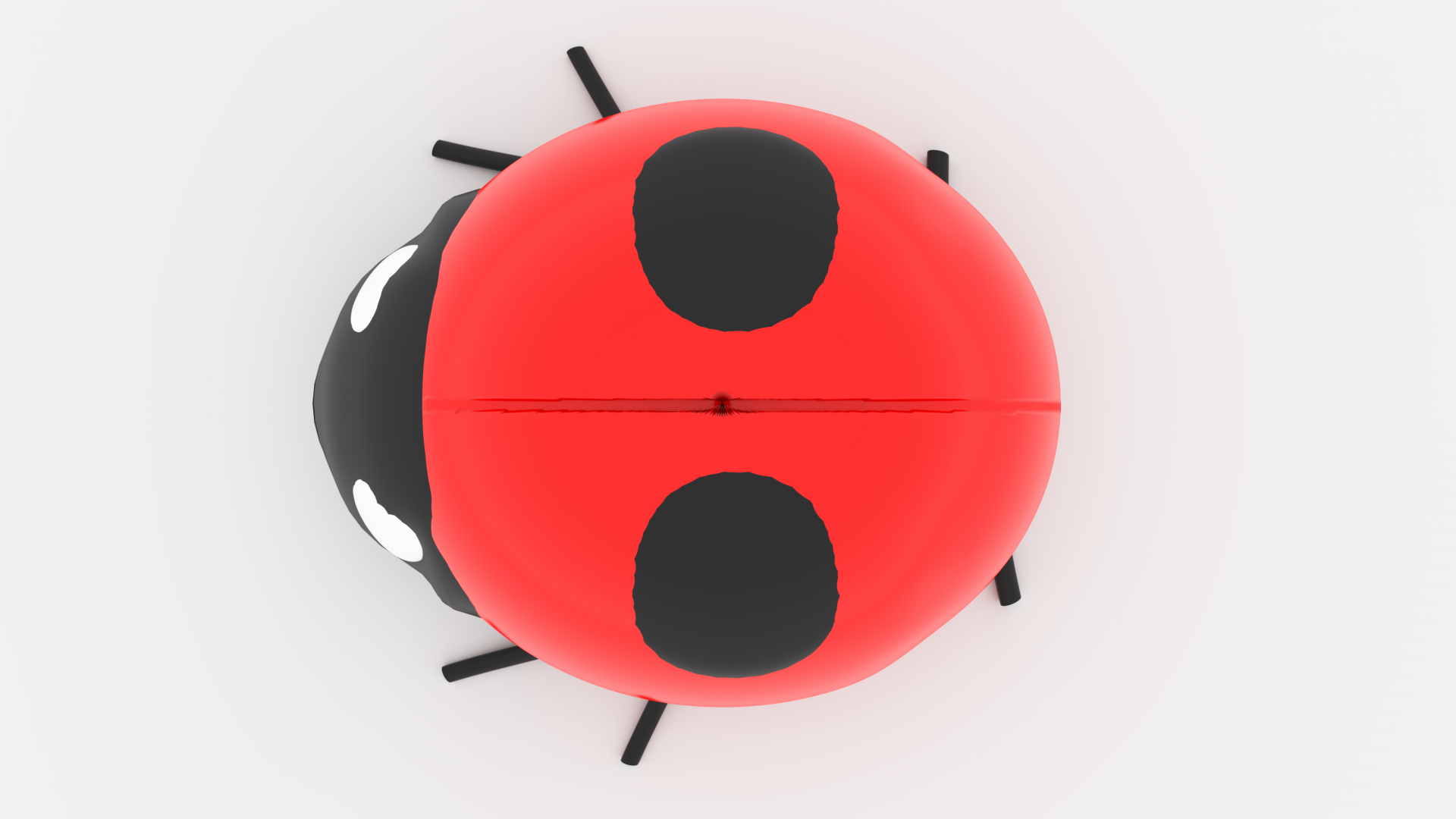 ladybeetle-top.png